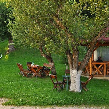 Pel Flora Hotel Бран Екстериор снимка